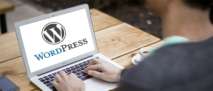 WordPress for Developing Business Website
