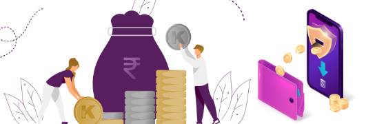 HYIP Software Payment Gateway Integration 