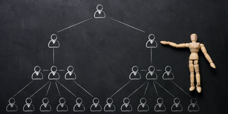 What is Multilevel Marketing (MLM) Software?